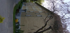 Отели в Смрдаки